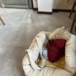 葛城Gardenカフェ - 