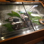 Kaisen Izakaya Rinka - 店内・鮮魚ディスプレイ