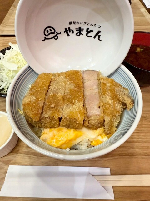 Atsugiri Rea Tonkatsu Boston Shinarai Hashimoto Ten photo 3