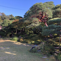 南禅寺参道 菊水 - 日本庭園