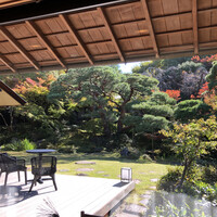 南禅寺参道 菊水 - イタリアン食事席から眺める日本庭園