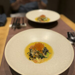 トレヴィーテ - 