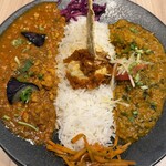 インドカリーダイニング・コバラヘッタ - 料理写真:【2種のスパイスカリーライス】【バスマティライスに変更】