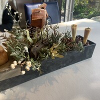 ウェロニカ ペルシカ - 