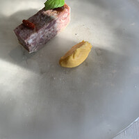 ウェロニカ ペルシカ - 