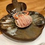鮨・鉄板焼 はる真 - カニ身の下に内子、外子、カニ味噌を和えたものが詰まっていて美味しい。