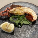 アッピア アルタ 西麻布 - 