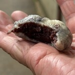 よし仙 学校町店 - 