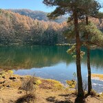 鰻 小林 - 日本を代表する画家・東山魁夷の名作「緑響く」のモチ一フにもなったことで有名な御射鹿池（みしゃかいけ）の紅葉。（長野県茅野市）