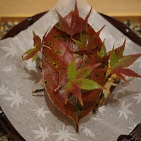 日本料理 十三蔵 - 