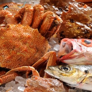 居酒屋はち丸_1