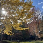 レストラン スポール - 