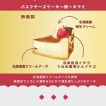 バスクチーズケーキ〜極〜キワミ 5号サイズ直径15cm