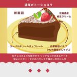 濃厚ガトーショコラ 5号サイズ直径15cm