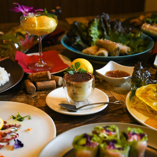 Vietnam French De salita_1