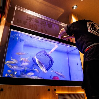 【生け簀設置店舗】新鮮な活魚をご提供いたします！