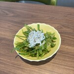 Mr.Gentleman Neo Japan Dining - 