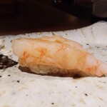 鮨 在 - ぼたんえび①