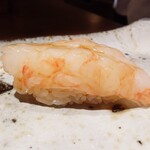鮨 在 - ぼたんえび②