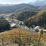 ココ・ファーム・ワイナリー - 