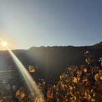 ココ・ファーム・ワイナリー - 