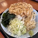 せんしゅう - 天冷したぬき