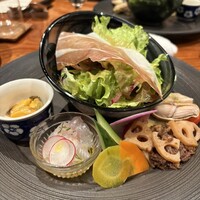 メルモーゾ ダ ドロカワ - 