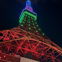 ワカヌイ グリル ダイニング バー 東京 - 