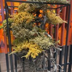 ハードロックカフェ - 