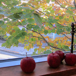 クルミドコーヒー - 