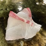 鮨桂太 - マダイ