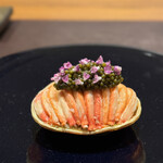 イル アオヤマ - 