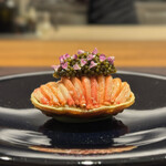 イル アオヤマ - 