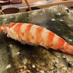 鮨桂太 - クルマエビ