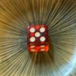 ラーメンながた - 