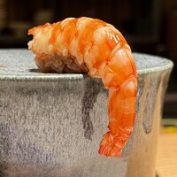 五反田鮨 SUSHI TOKYO 81 - 車海老