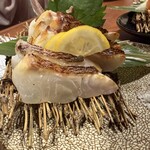 炭炉ばた こみ哉 松山 - 