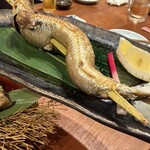 炭炉ばた こみ哉 松山 - 