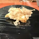 北野坂 木下 - 【 白トリュフ 】