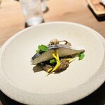 pecora - 