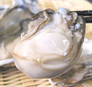 菜根譚 京成千葉 居酒屋 食べログ