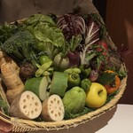 レフェルヴェソンス - 