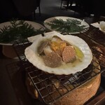 レフェルヴェソンス - 