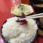 大阪あべの赤のれん - 