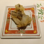 赤坂 鮨 天ぷら 祇園いわい - こち