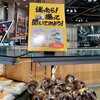 ダン・ブラウン 浦安駅北口店