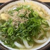 さか枝うどん 南新町店
