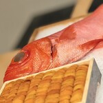 日本料理 みや  - 