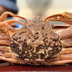 日本料理 みや  - 