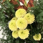 喫茶tton - 綺麗な黄色